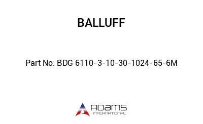 BDG 6110-3-10-30-1024-65-6M									