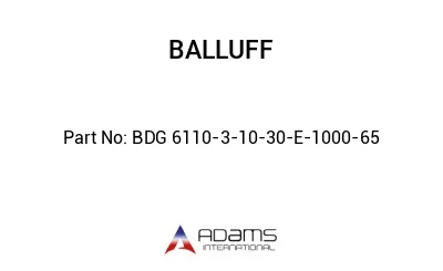 BDG 6110-3-10-30-E-1000-65									