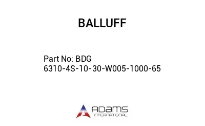 BDG 6310-4S-10-30-W005-1000-65									