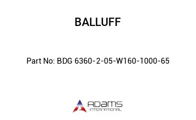 BDG 6360-2-05-W160-1000-65									