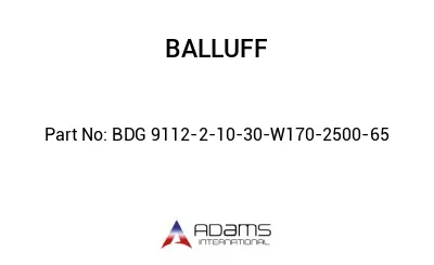 BDG 9112-2-10-30-W170-2500-65									