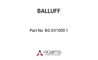 BG GV1000:1									
