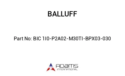 BIC 1I0-P2A02-M30TI-BPX03-030									