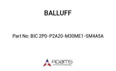 BIC 2P0-P2A20-M30ME1-SM4A5A									