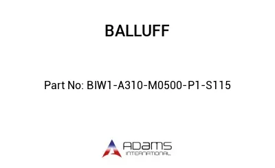 BIW1-A310-M0500-P1-S115									