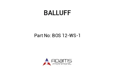 BOS 12-WS-1									
