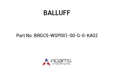 BRGC5-WSP001-00-G-0-KA02									