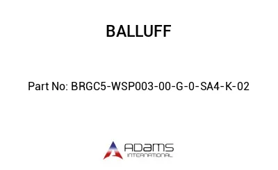 BRGC5-WSP003-00-G-0-SA4-K-02									