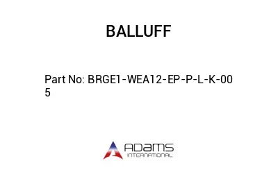 BRGE1-WEA12-EP-P-L-K-00	5								
